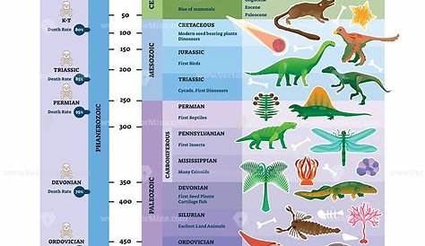geologic time scale coloring worksheet
