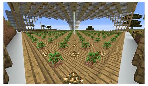 How To Make A Tree Farm In Minecraft - How do you grow trees in