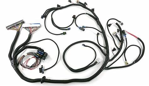 1962-2021 Chevrolet LS1/LS6 with 4L60E Drive By Cable Standalone Wiring