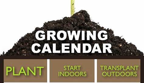 herb growing guide chart - Google Search | Growing calendar, Plants