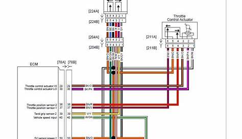 harley twist grip sensor wiring diagram