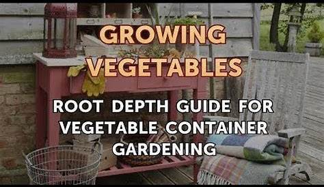 average depth of vegetable roots