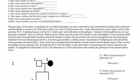 genetics pedigree worksheets