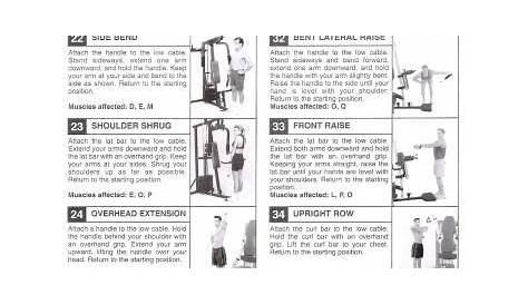 Weider 8530 Exercise Chart | Workout chart, Gym workout chart, Home gym