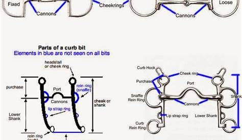 western horse bit severity chart