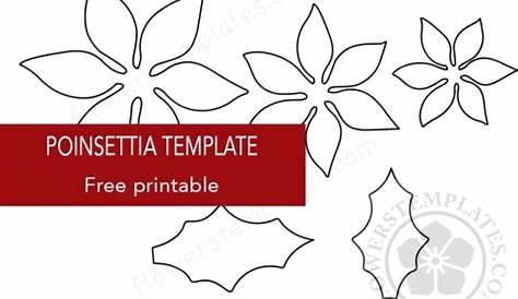 printable poinsettia petal template
