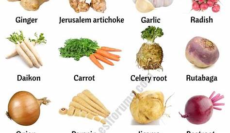 vegetable root depth chart