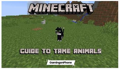 How To Tame All Animals In Minecraft