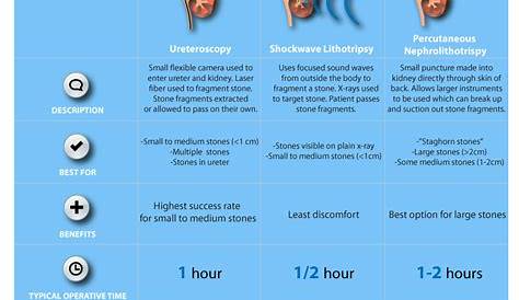 An All-Round Comparison Between 3 Different Kidney Stone Surgeries