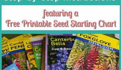 when to start flower seeds indoors chart