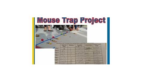 Vertical Motion Mouse Trap Project by Vagnozzi's Variables | TpT
