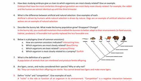 mechanisms of evolution worksheet answers