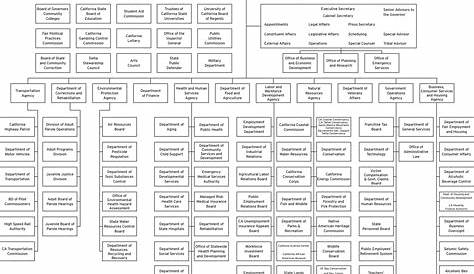State Department Org Chart - Department Organization Chart / Последние