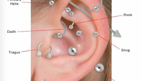 ear piercing chart anatomy