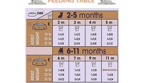 frenchie puppy feeding schedule