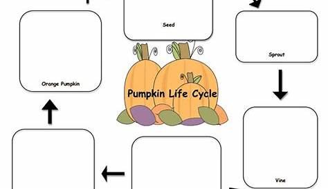 Pumpkin life cycle worksheet | For The Pumpkin Patch | Pinterest