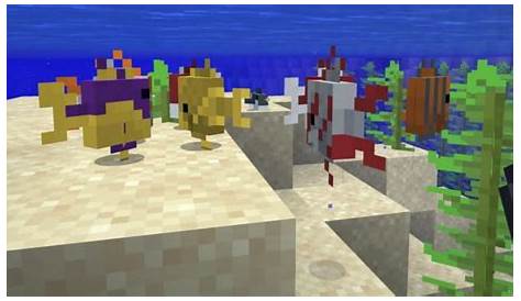 Minecraft Tropical Fish: Spawns, Uses and more! – FirstSportz