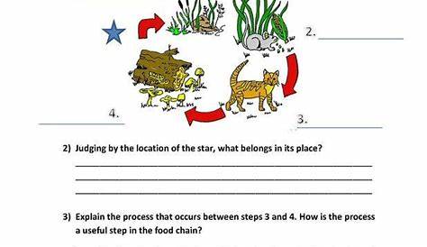 Producers And Consumers Worksheets