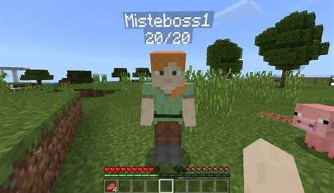 how to make nametags more visible minecraft