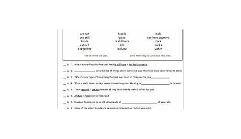 The Language Of Science Worksheet Answer Key