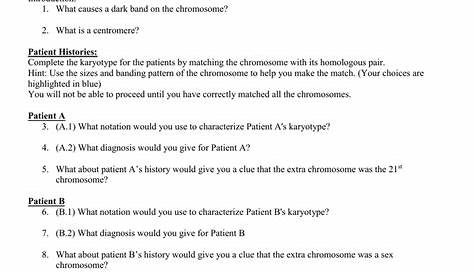 biology karyotype worksheet answer key