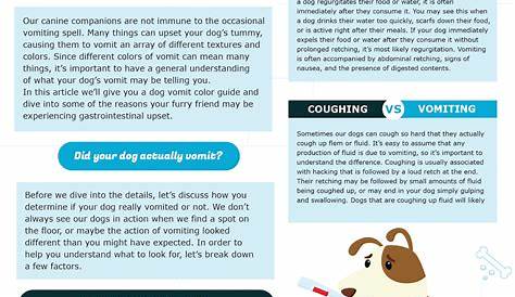 vomiting dog vomit color chart