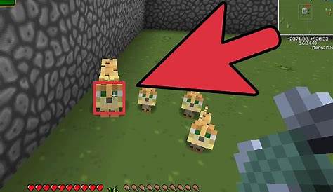 how to tame ocelot in minecraft