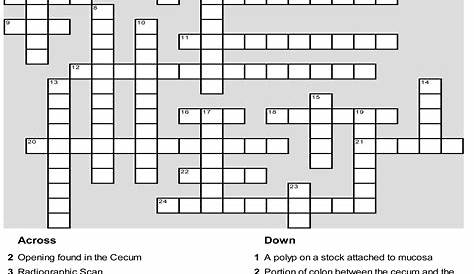 spring crossword puzzle printable