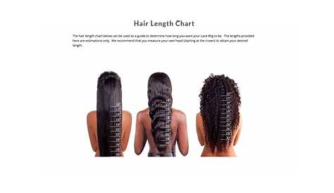 hair length number chart