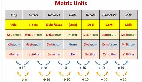 metric units of measure worksheet