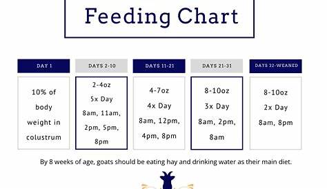 Bottle Baby Feeding Chart | Three Little Goats