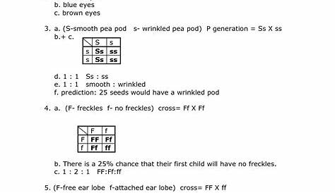genetics basics worksheets 1 answer key