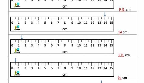 grade 2 centimeters and inches worksheet
