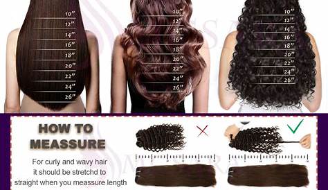 inches in hair chart