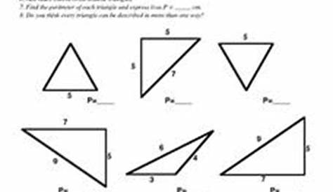 Classification of Triangle Measurement & Perimeter Worksheet for 10th