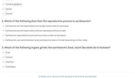[Download 34+] Earthworm Anatomy Worksheet Answers