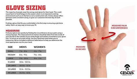 hand size to height chart