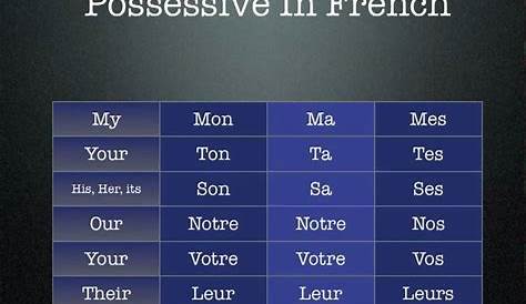 french possessive adjectives test