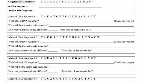 12 Best Images of Gene And Chromosome Mutation Worksheet - Genetic
