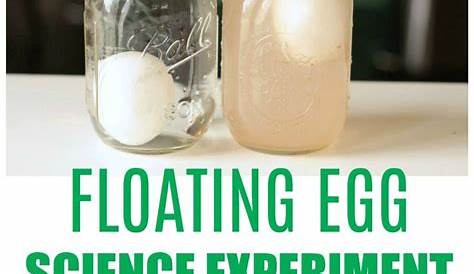 floating egg experiment for kids