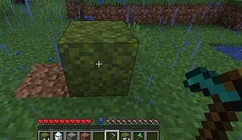 how to farm moss blocks in minecraft