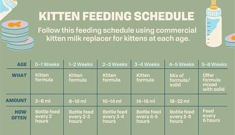 iams feeding chart cat
