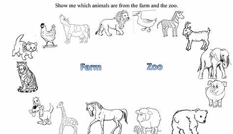 Zoo Animals Worksheet - This Worksheet Is Designed To Teach The - Free