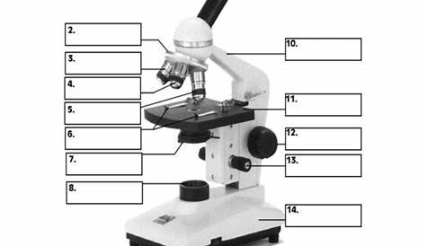 the compound microscope worksheet answer key