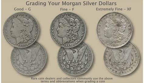 Morgan Silver Dollar Grading | A Trail of Money.... | Pinterest