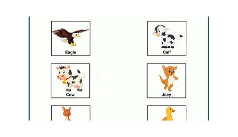 Baby animals worksheets | K5 Learning