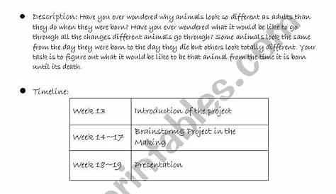 English worksheets: Life Cycle of animals