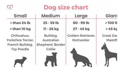 Dog Girth Sizes By Dog Breed, For Harness Measurement | peacecommission