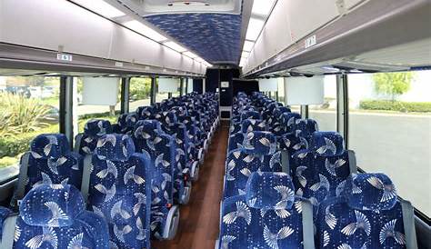 Advantages of Hiring a Charter Bus Company for Your Next Trip - BlueGlue
