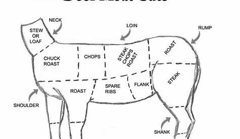 venison meat cuts chart